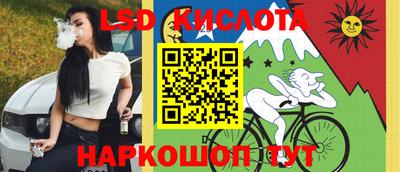 дмт Аргун