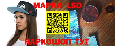 дмт Аргун