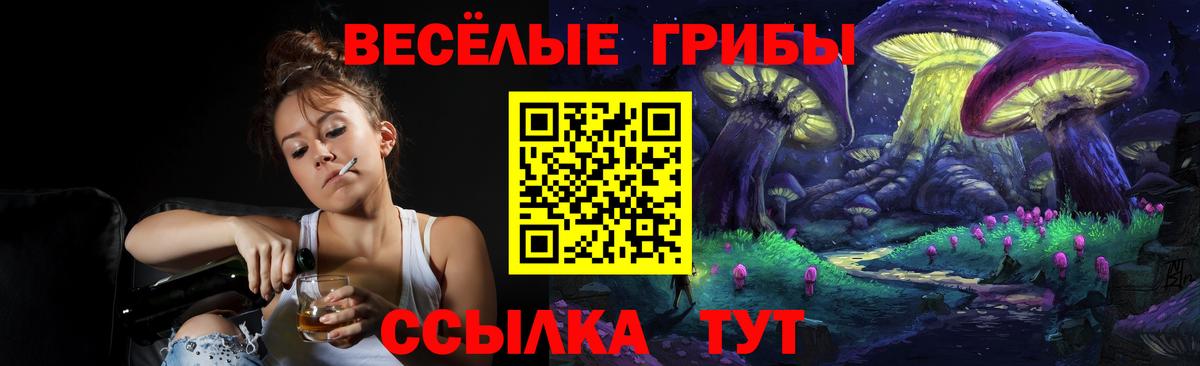 Псилоцибиновые грибы Psilocybe  Вход с VPN  Выборг 